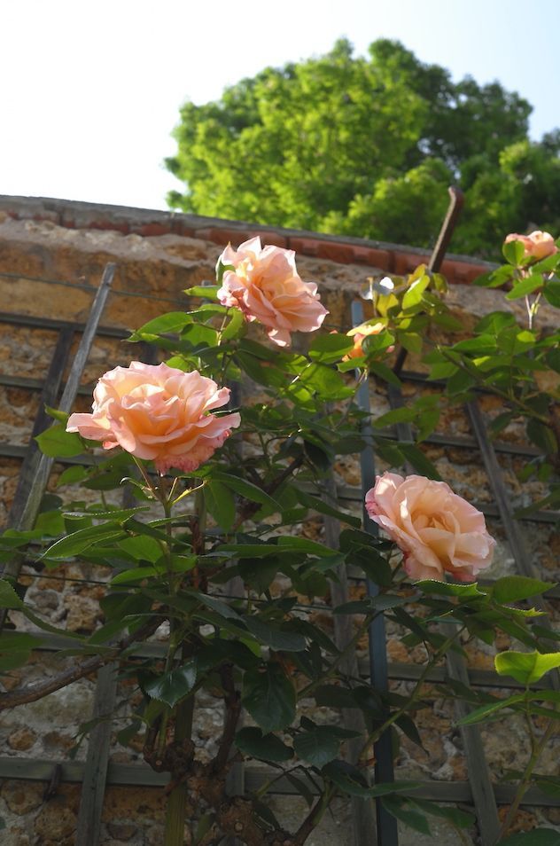 Votre Ciel Du Lundi Mai