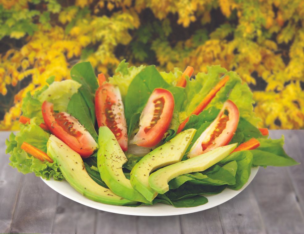 Salada De Folhas Verdes Avocado