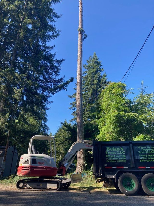 Quality Tree Service Shelton Wa Beko S Tree Llc