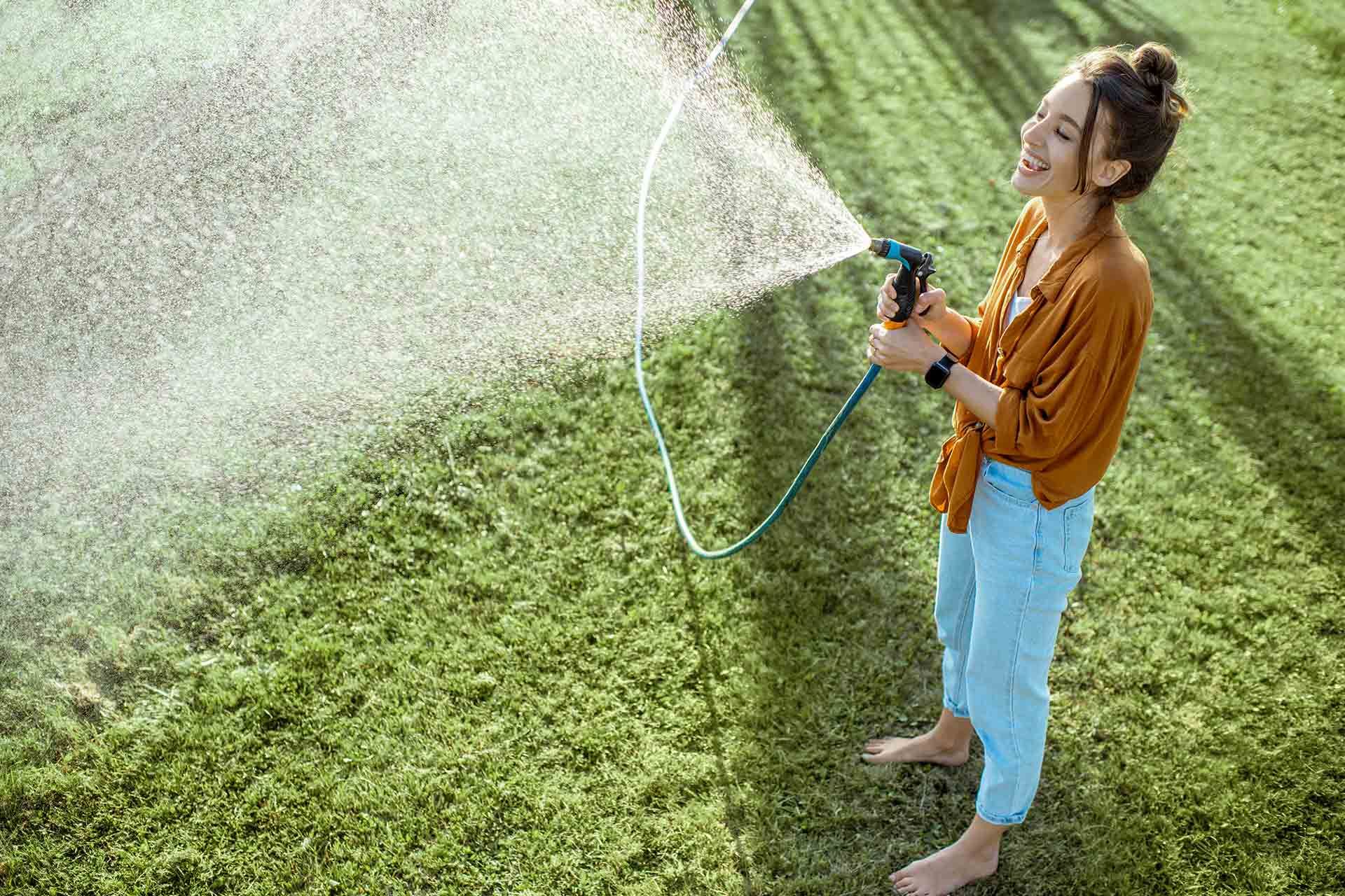 Watering Tips To Keep Your Michigan Lawn Vibrant Visionary Fert