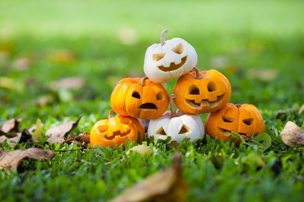 Halloween Lawn Decorations Ideas To Spook Up Your Yard