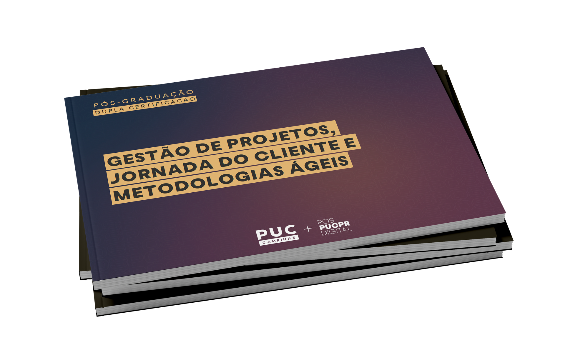 Gest O De Projetos Jornada Do Cliente E Metodologias Geis