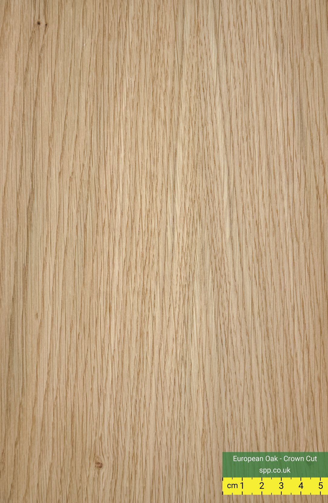 Oak Veneered Plywood