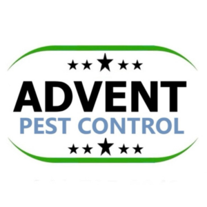 German Roach Treatment Checklist Advent Pest Control