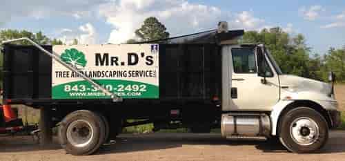 Mr. D's Truck — Myrtle Beach, SC — Mr. D's Tree & Landscaping Service LLC
