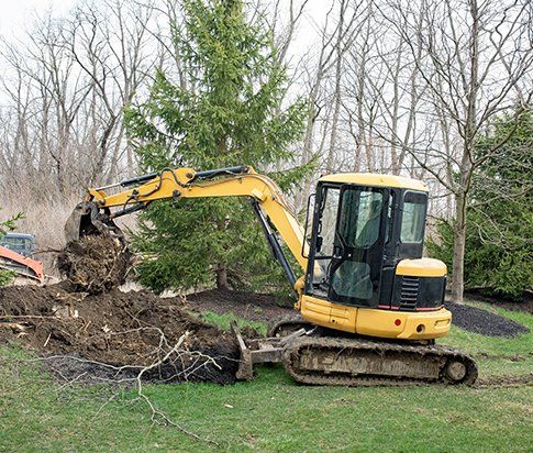 Backhoe Removing Tree Root — Myrtle Beach, SC — Mr. D's Tree & Landscaping Service LLC