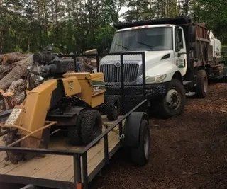 Poplar Trunks Grinding Machine — Myrtle Beach, SC — Mr. D's Tree & Landscaping Service LLC