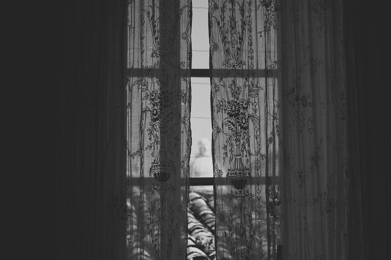 monochrome black and white window with lace curtains