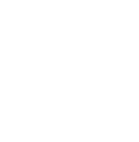 Un cagnolino marrone a pelo lungo è seduto su un letto vicino a una testiera di legno, e guarda di lato con un'espressione vigile.