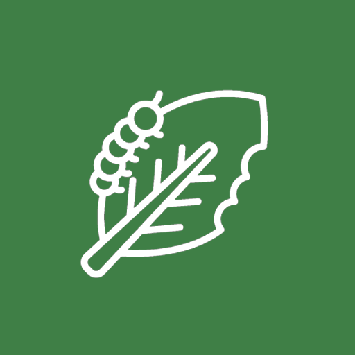 Trattamenti fitoterapici