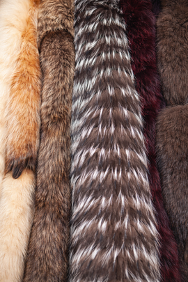 Vertical strips of various textured animal furs in shades of cream, brown, black, silver, and deep red.
