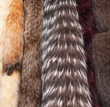 Vertical strips of various textured animal furs in shades of cream, brown, black, silver, and deep red.