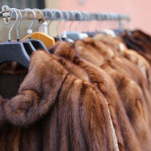 A rack of various brown fur coats hanging on clothes hangers, lined up against a soft pink wall.