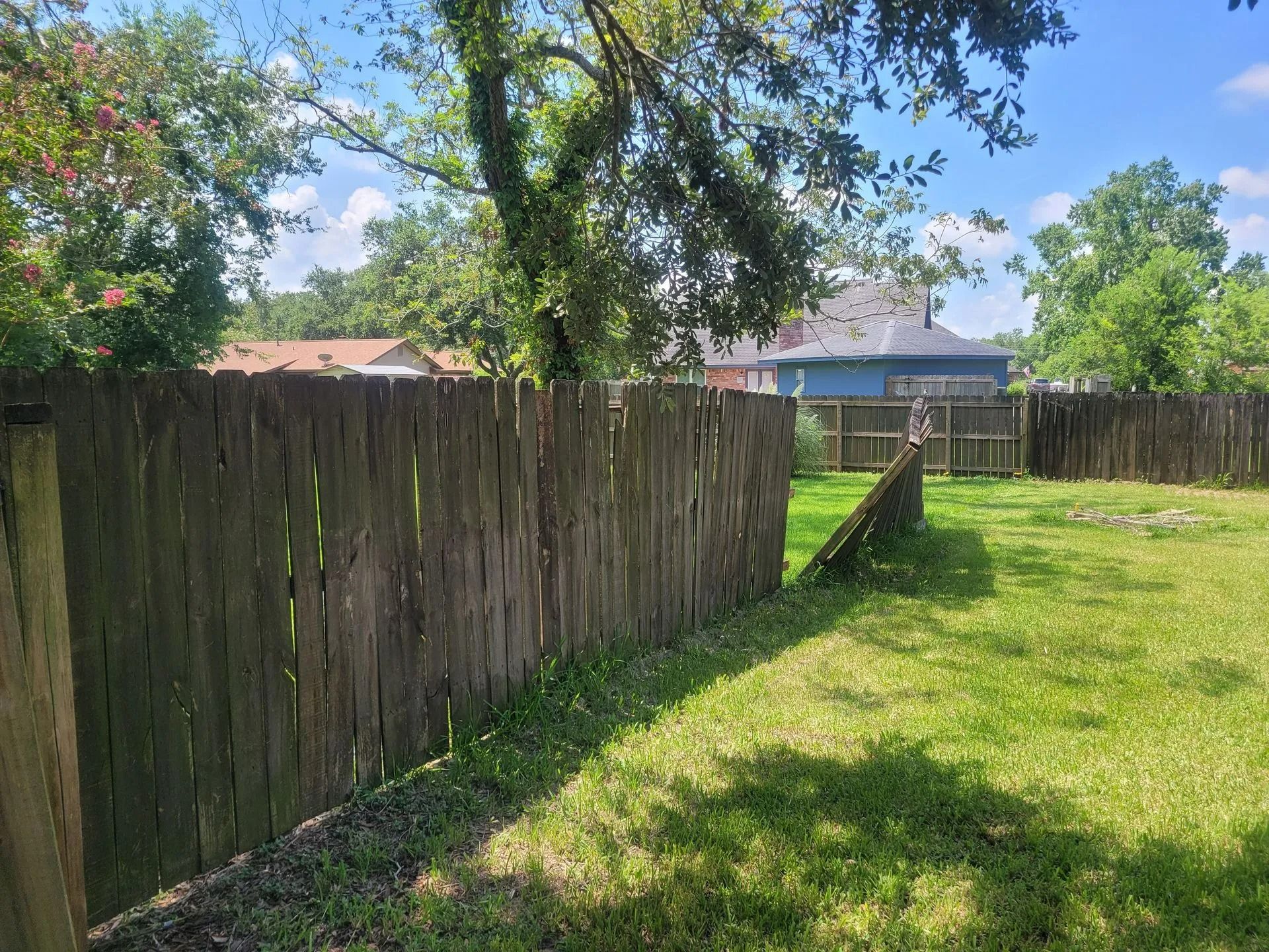 A weathered wooden fence borders a grassy backyard, with trees and houses visible in the distance under a blue sky.