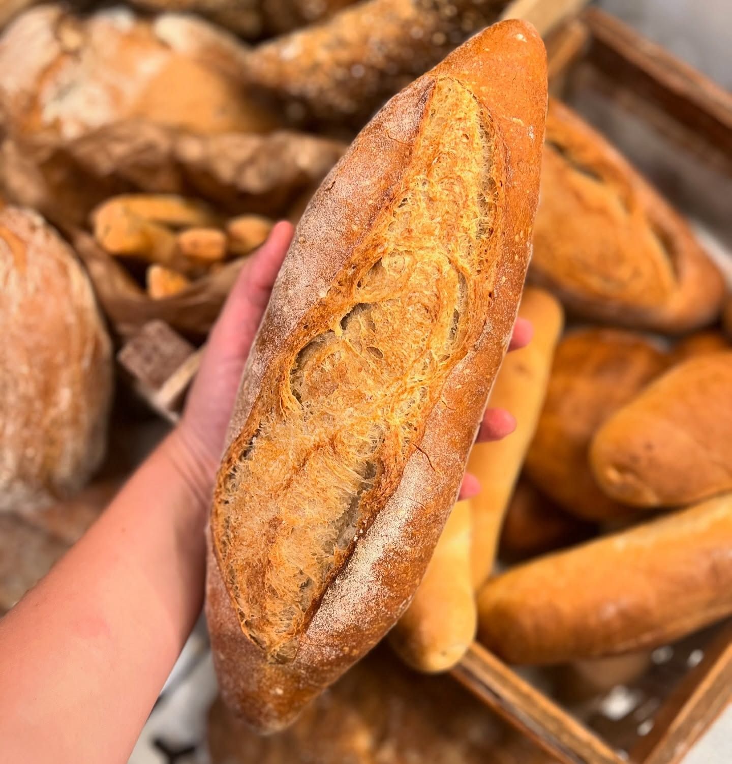Mano che regge una lunga pagnotta dorata, con altri pani su un vassoio di legno sullo sfondo.