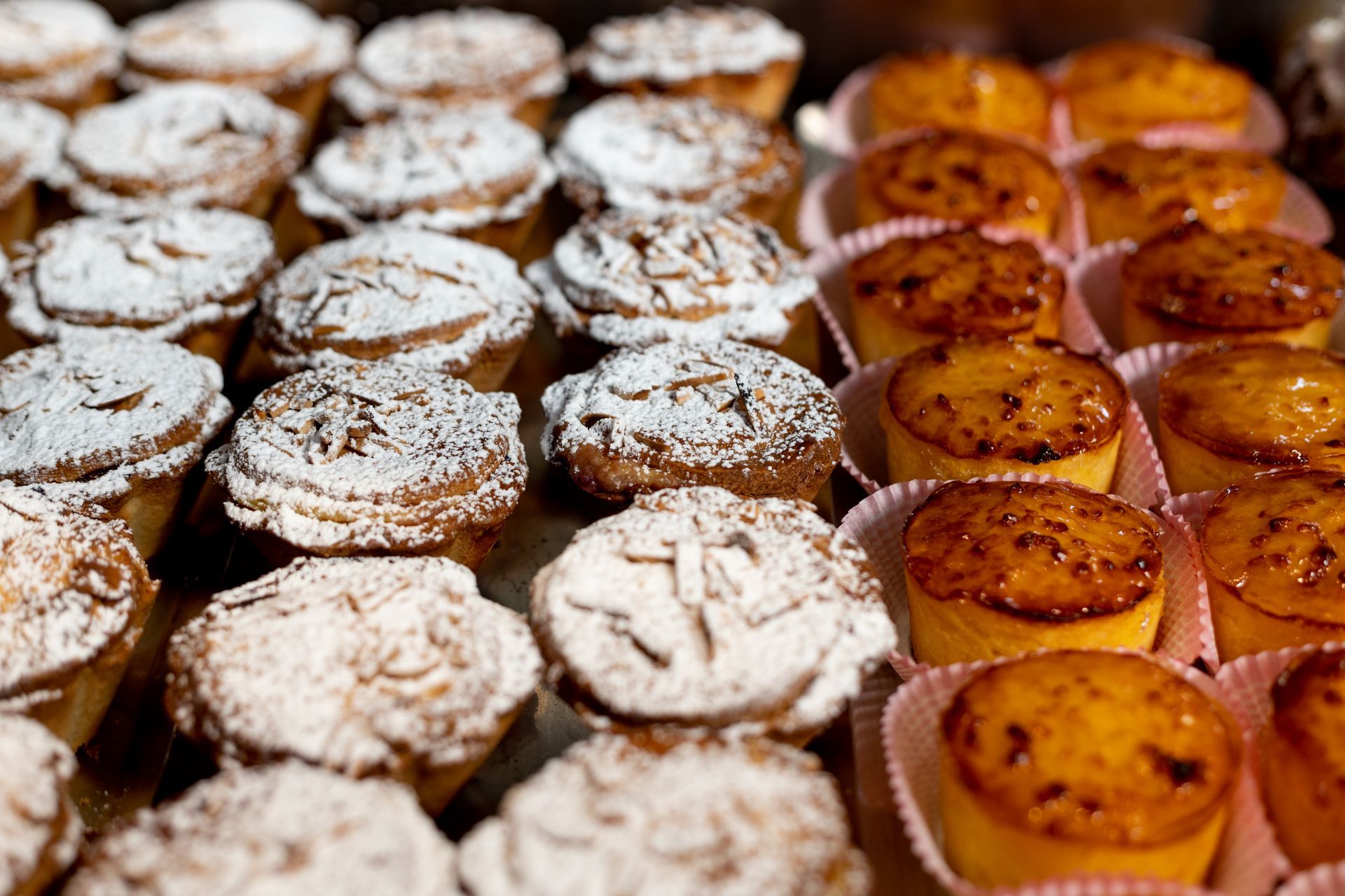 File di pasticcini assortiti, alcuni spolverati con zucchero a velo, altri con la superficie glassata, esposti in un ambiente da panetteria.