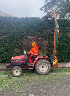 Taille de haies, taille d'arbustes, taille de buissons, taille mécanisée ou manuelle