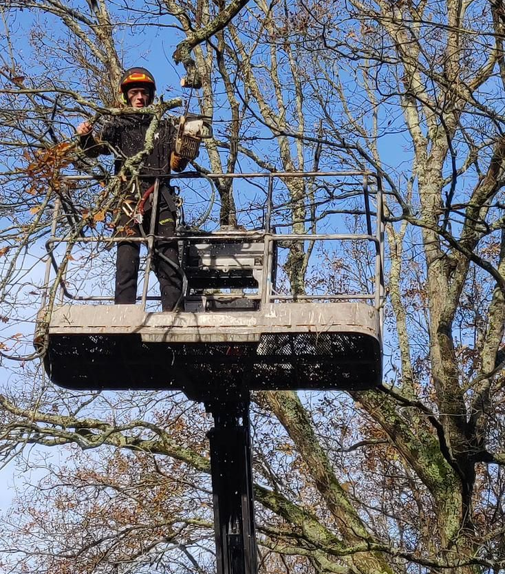 élagueur à Nantes
entreprise élagage à Nantes
société élagage à Nantes
élagueur professionnel à Nantes
taille arbre à Nantes