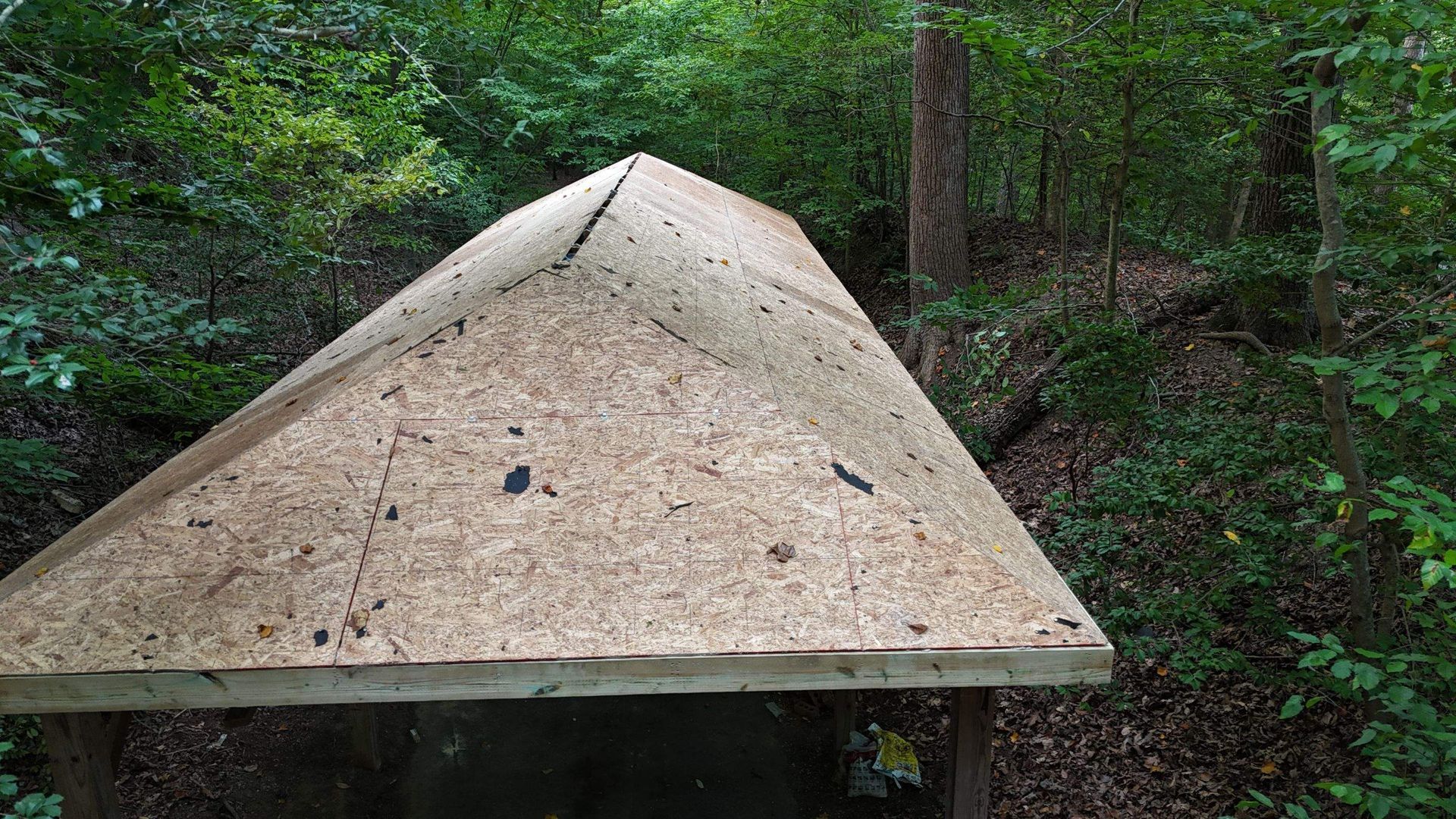 A wooden structure is sitting in the middle of a forest.