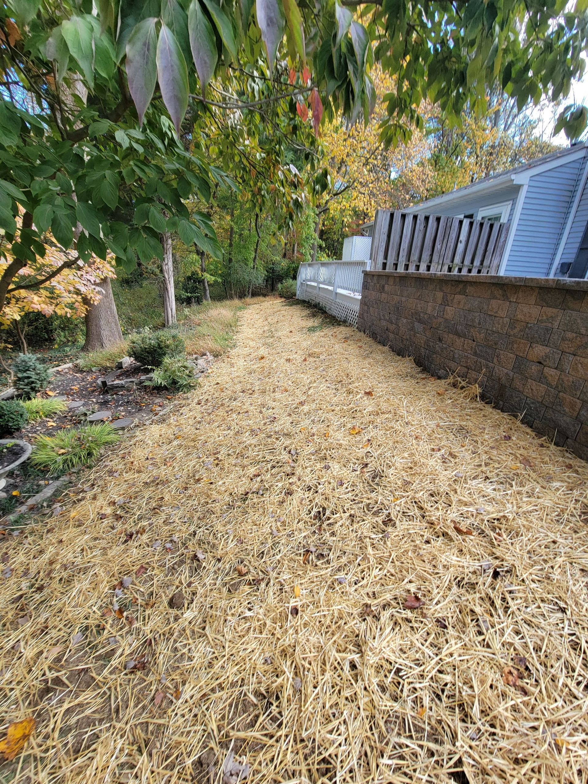 There is a lot of mulch on the ground in front of a house.