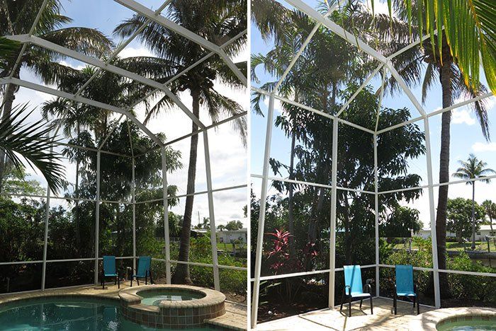 Trees Outside Lanai Enclosure — Fort Myers, FL — Wipe Out Windows