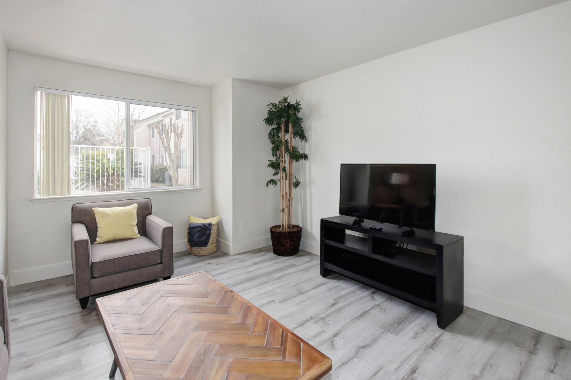 Living room with gray armchair, TV on a black stand, faux tree, wooden coffee table, and a window.