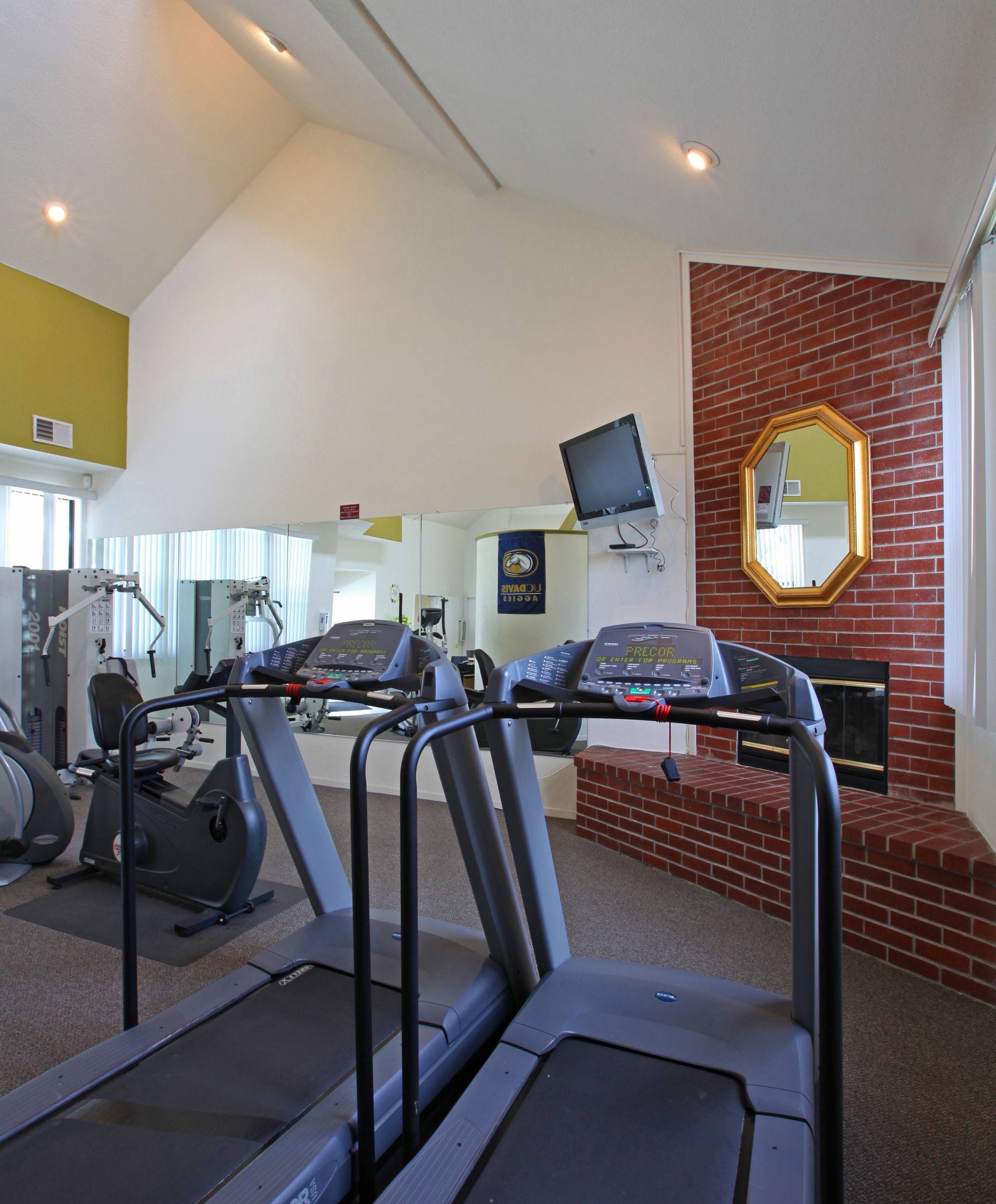 Gym with treadmills, exercise bike, brick fireplace with mirror, and TV.