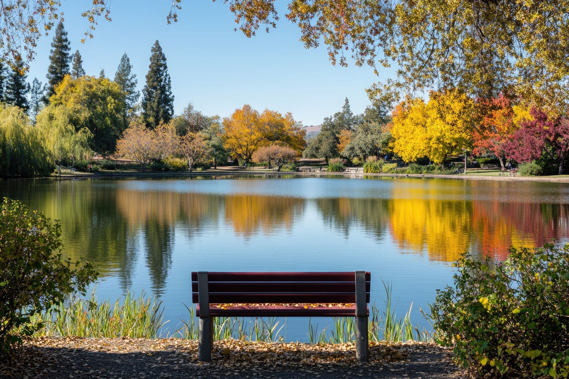photo of a bench overlooking a pond in the fall