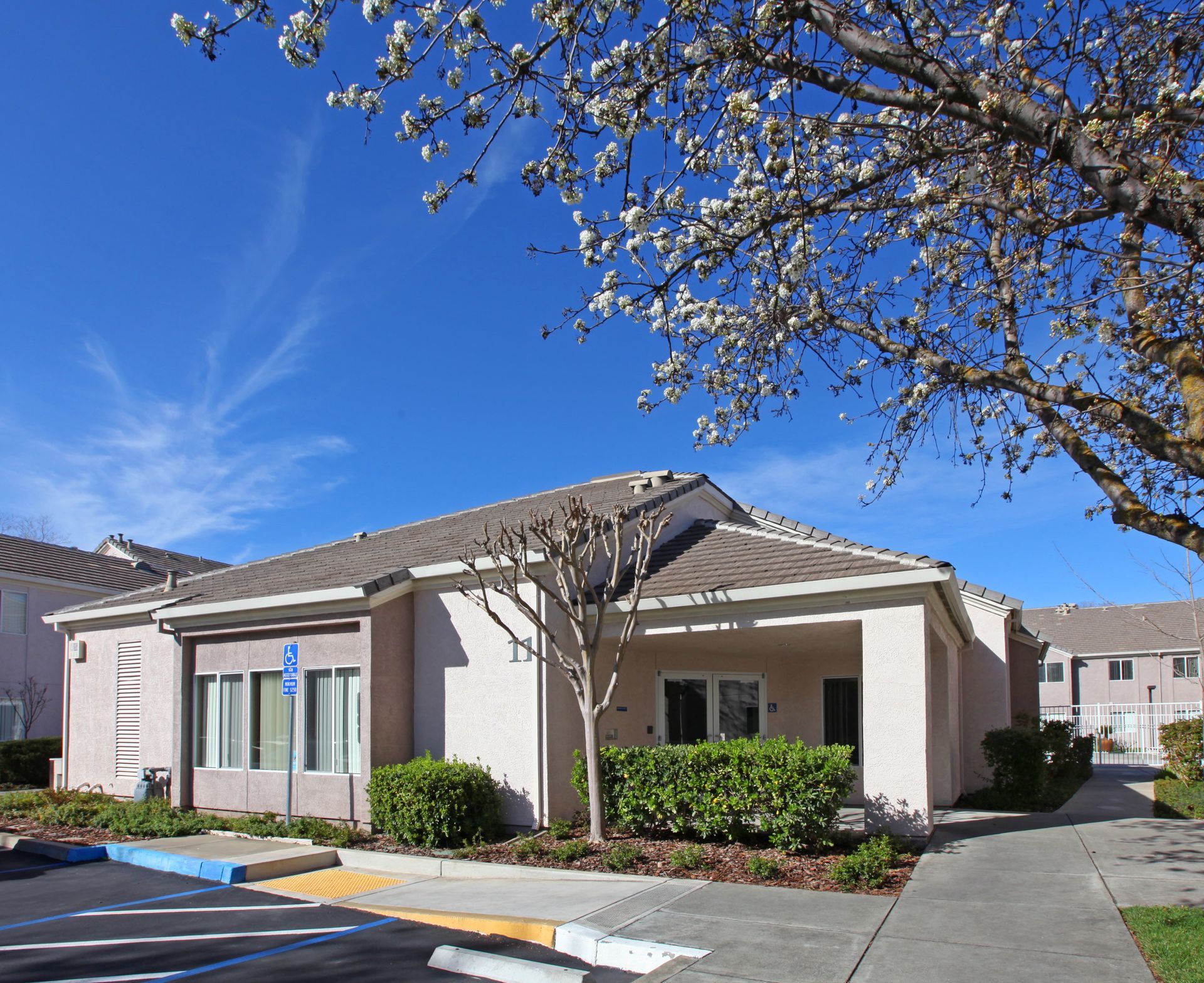 A single-story building with a blue handicap parking spot, blue sky, and flowering tree.