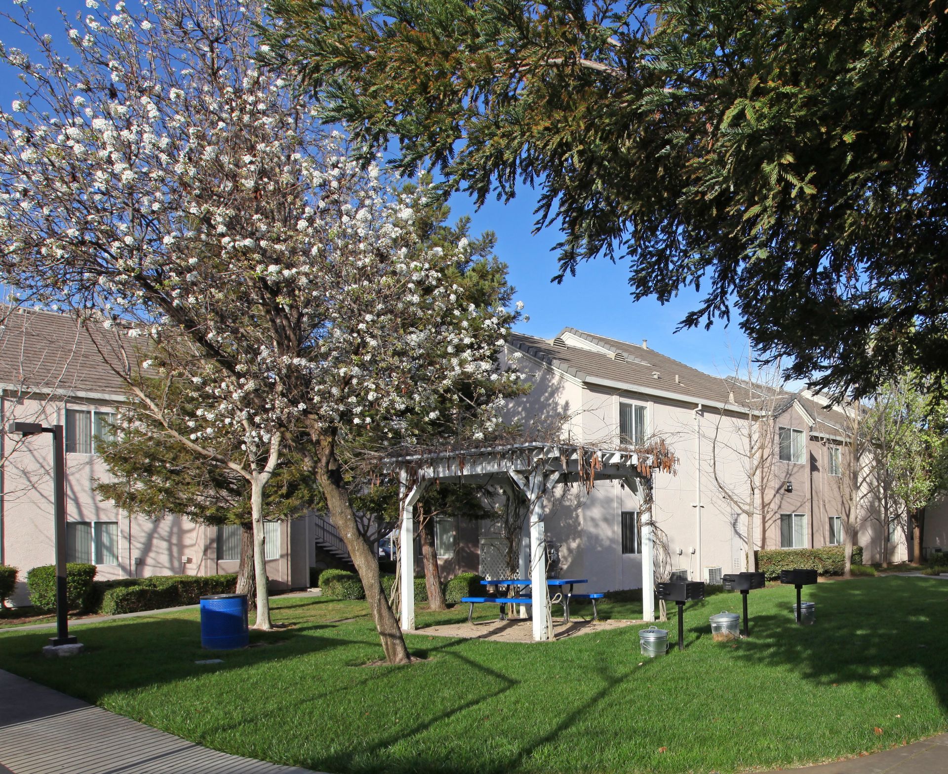Apartment complex exterior with flowering tree, pergola with picnic table, and green lawn.