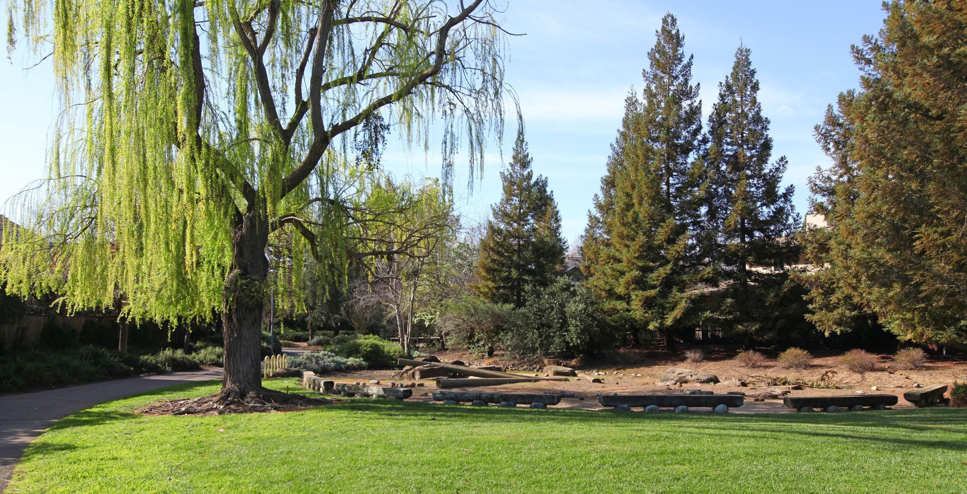 Green lawn with a weeping willow tree and other trees in a park setting under a blue sky.