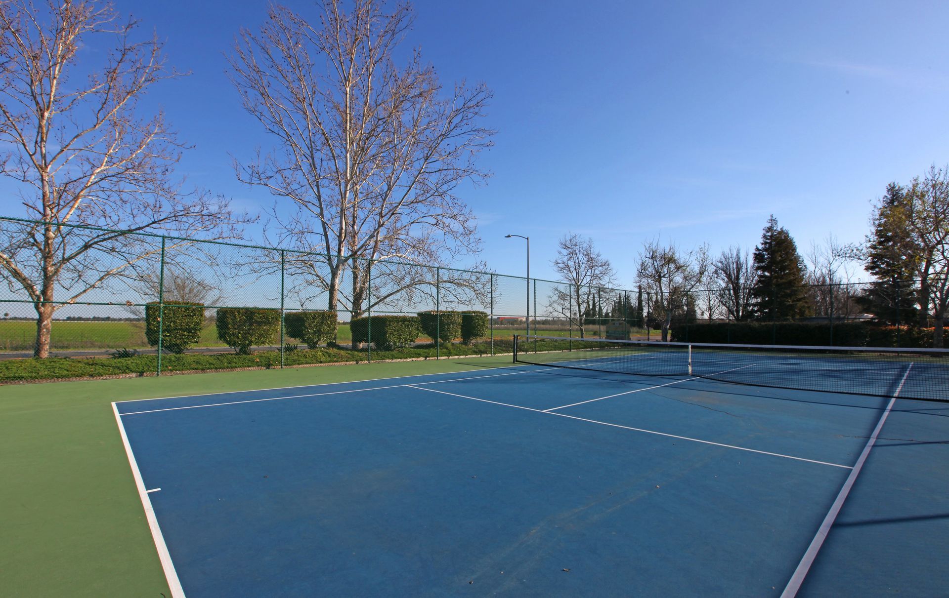 Tennis court on a sunny day with blue surface and white lines, trees and hedges in the background.