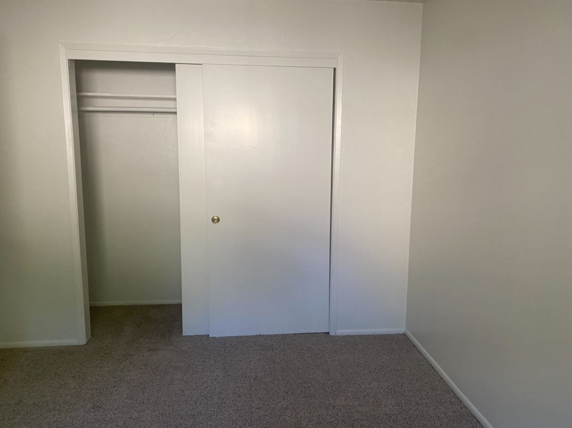 Closet with closed white sliding door on a carpeted floor, in a room with white walls.