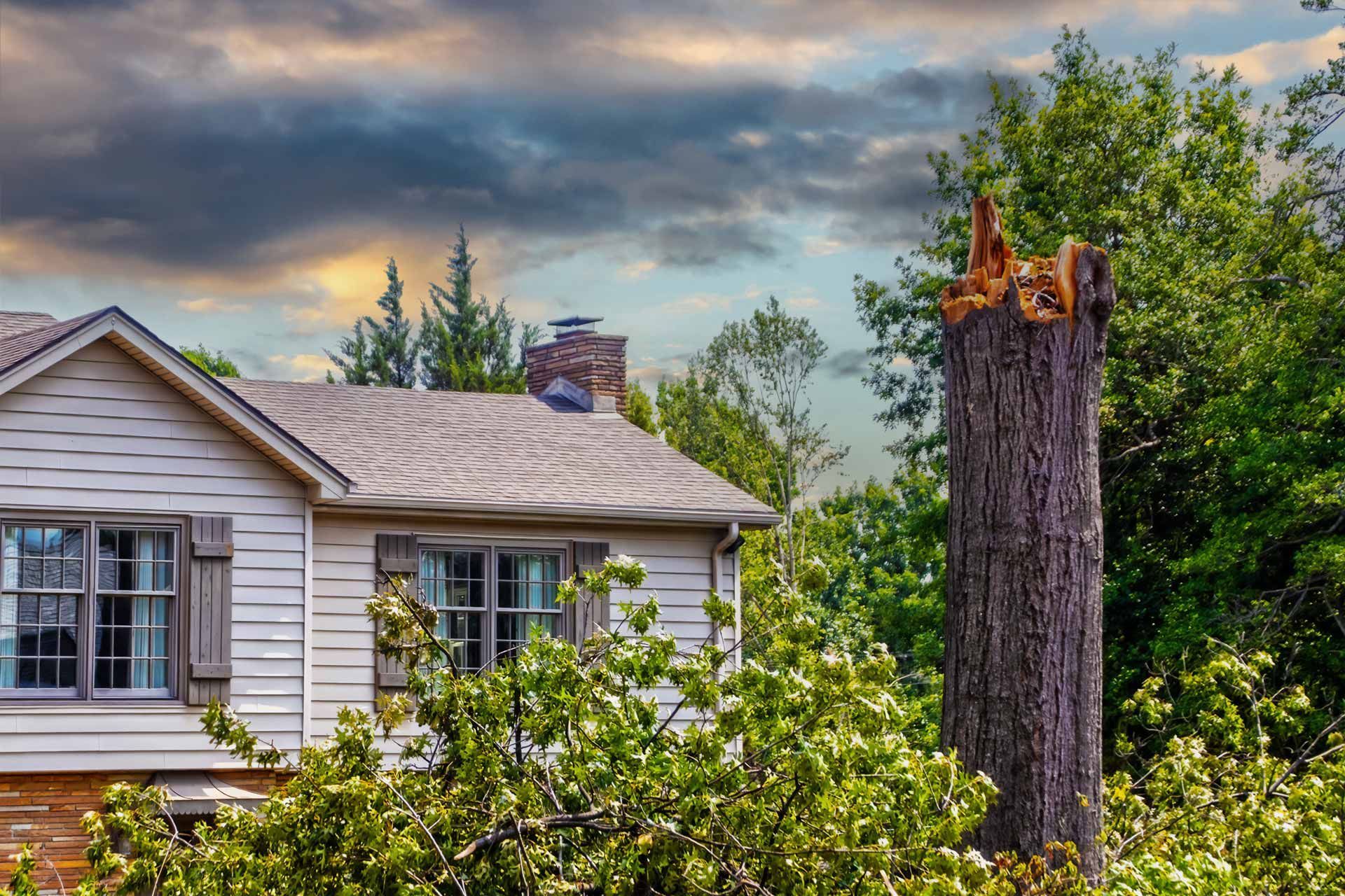 House with white siding and a large cut tree stump in a green yard under a cloudy sky