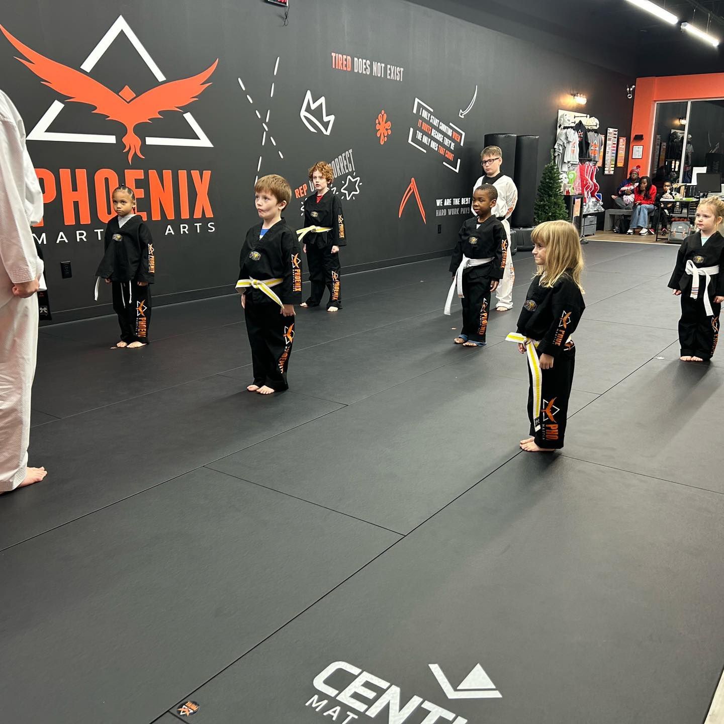 A group of children are standing on a mat in front of a wall that says phoenix martial arts