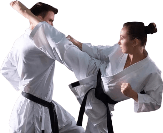 adult martial arts in tennessee