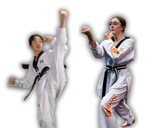 adult martial arts in tennessee