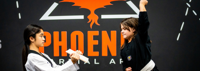 Child breaking a board during martial arts class at Phoenix Martial Arts in Murfreesboro, Tennessee