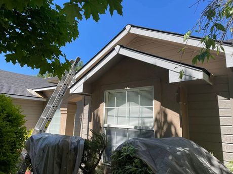 Ladder against a house roof with tarps covering the bushes below in a sunny yard