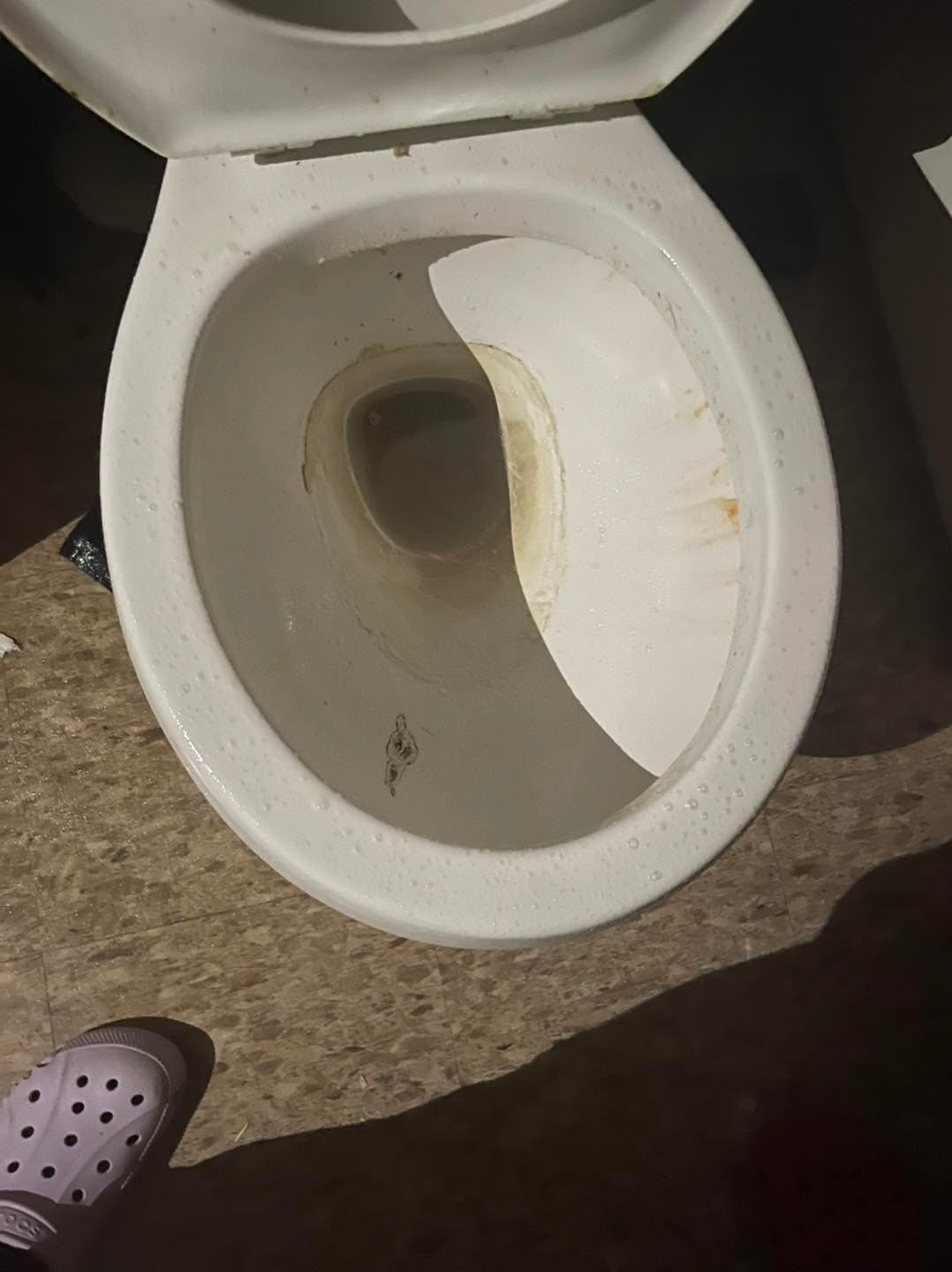 Dirty Toilet — Carlsbad, NM — Swept Away Cleaning LLC