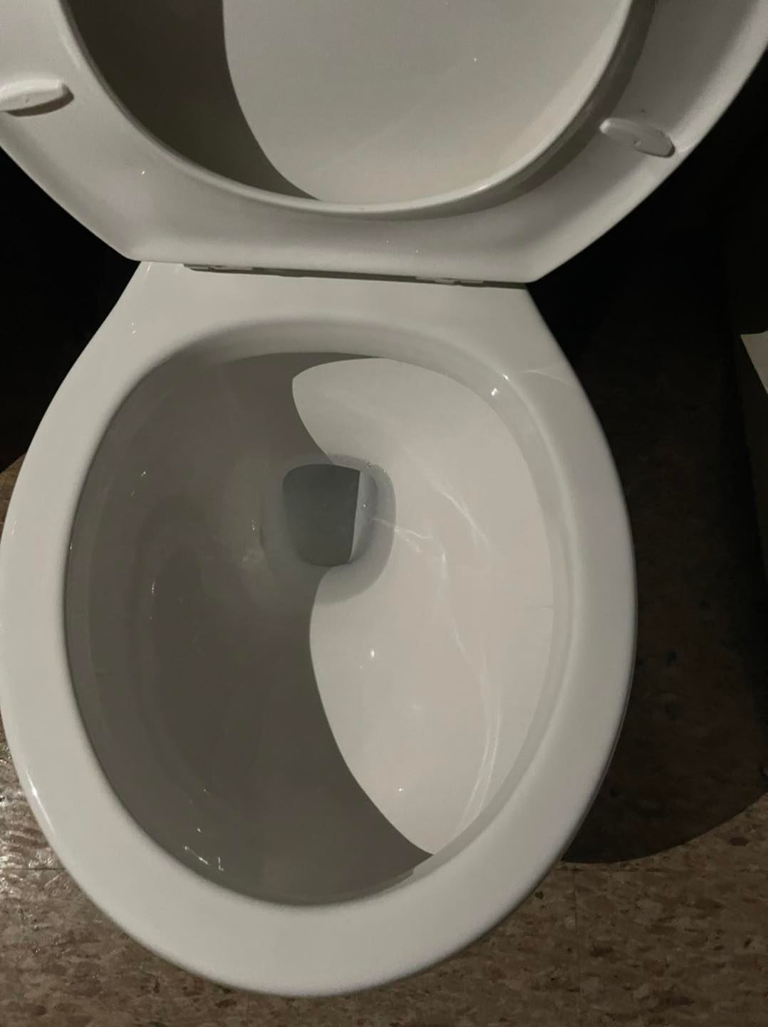 Clean Toilet — Carlsbad, NM — Swept Away Cleaning LLC
