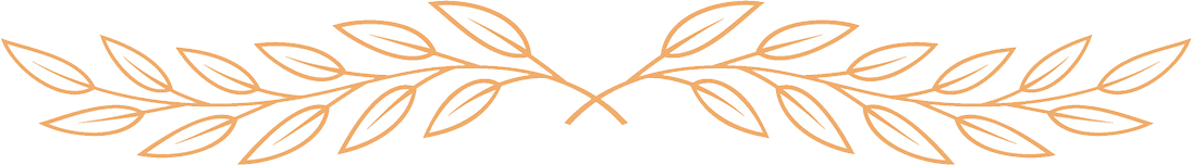 Un disegno di una pianta con foglie su uno sfondo bianco.