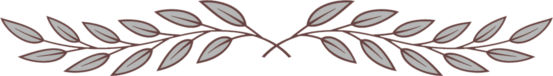 Un disegno di una pianta con foglie su uno sfondo bianco.