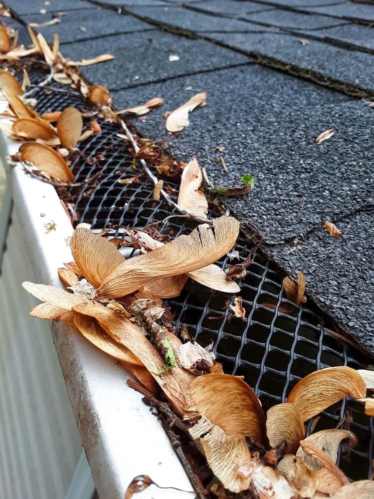 A Gutter Filled with Leaves and Branches on A Roof — South Coast Gutter Wiz in Huskisson, NSW