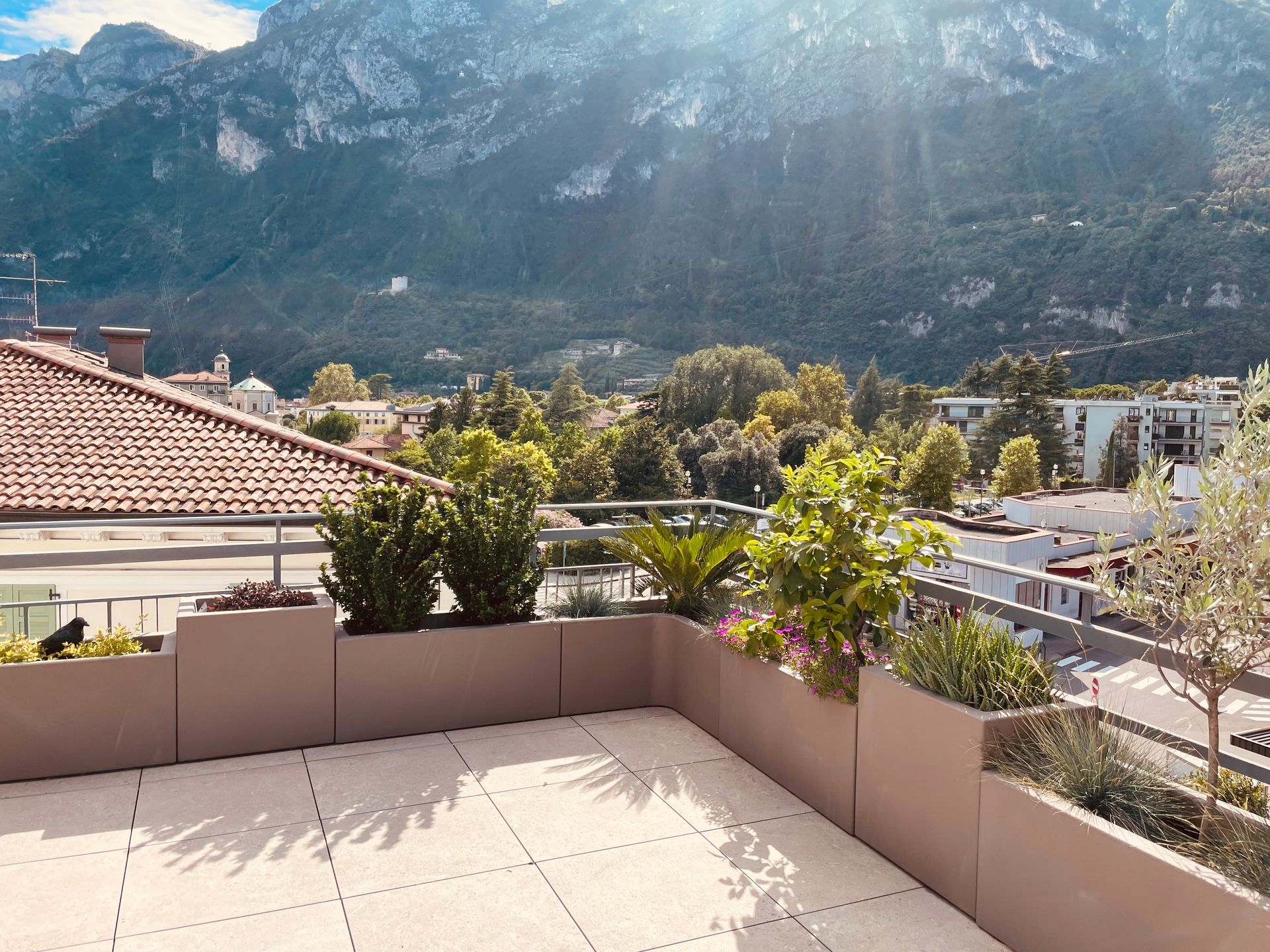 realizzazione giardini