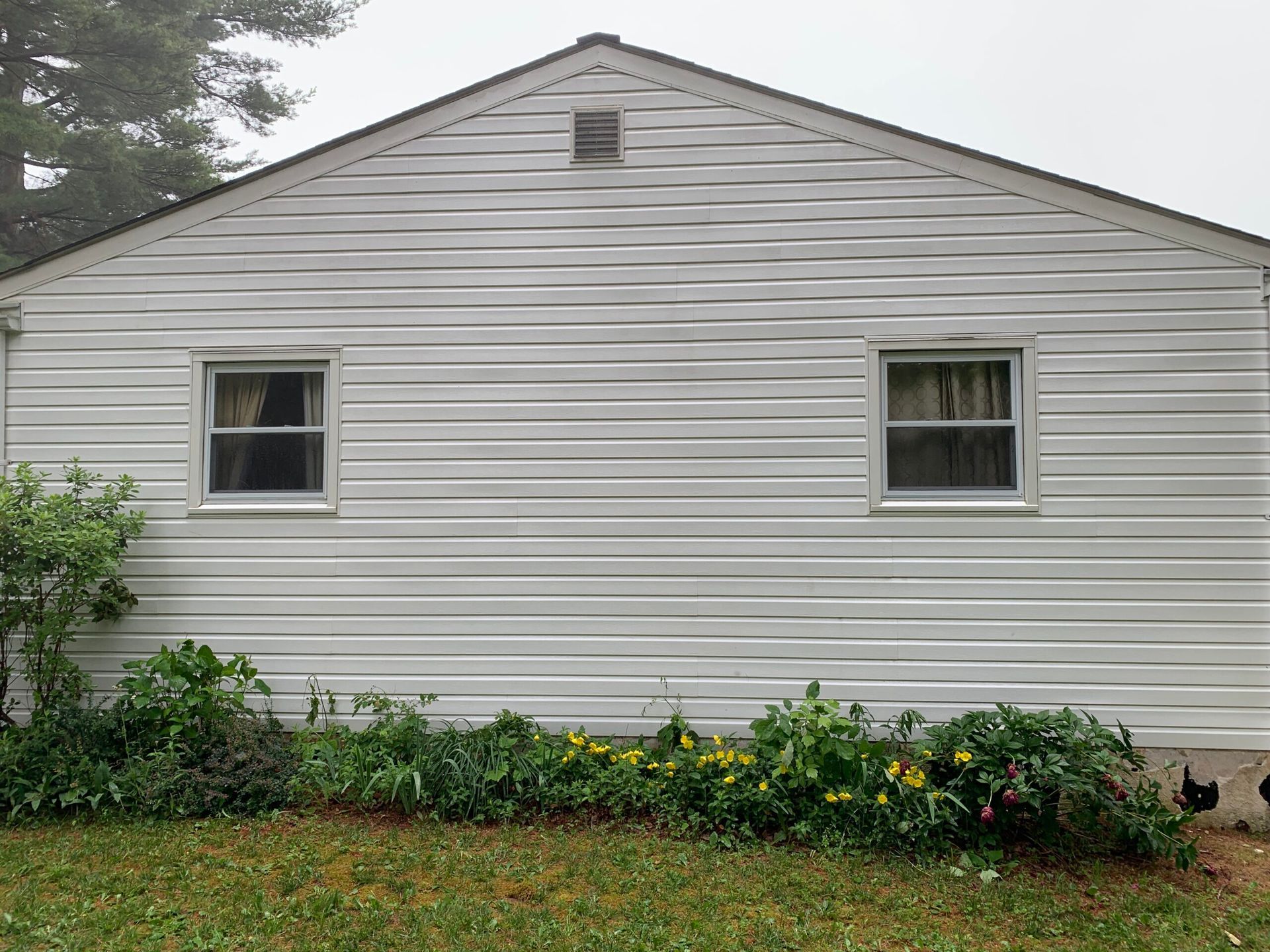 White, wavy vinyl siding on the side of a house with two windows, a small vent, and a garden bed in the foreground.