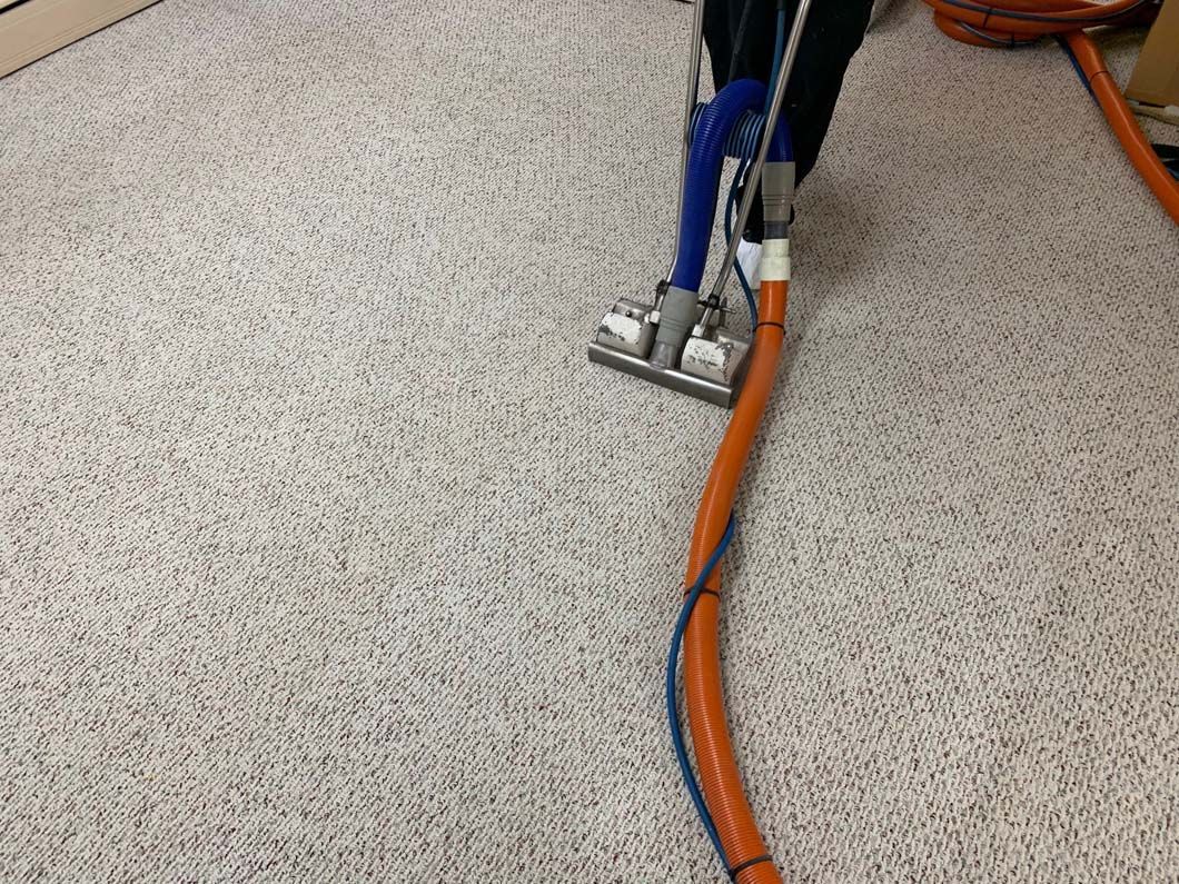 A person uses a commercial carpet cleaning wand with a bright orange hose to clean a patterned carpet.