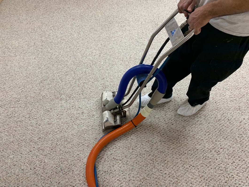 A person uses a commercial carpet cleaning machine with orange and blue hoses to clean a textured, light-colored carpet.