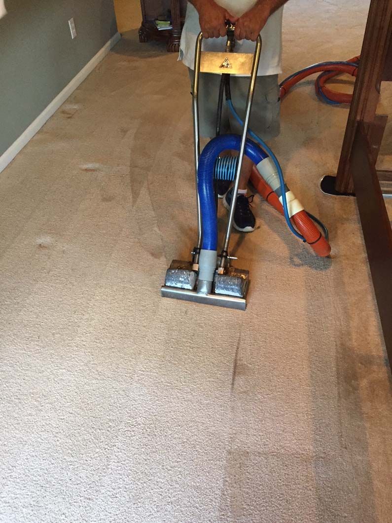 A person uses a professional carpet cleaning wand to clean a light-colored carpet in an indoor room.
