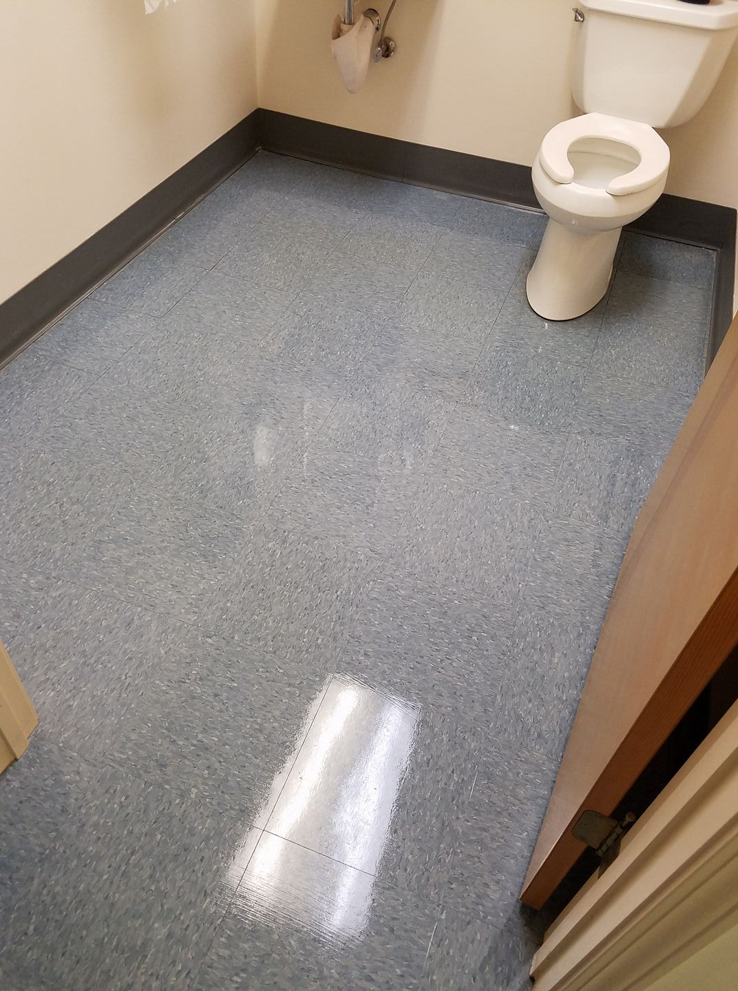 Blue-speckled floor in a bathroom with a toilet and wall trim.